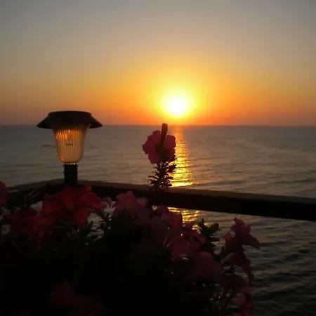 Riccio Di Mare - Large And Bright Flat On The Sea Syracuse