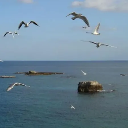 Riccio Di Mare - Large And Bright Flat On The Sea * Syracuse