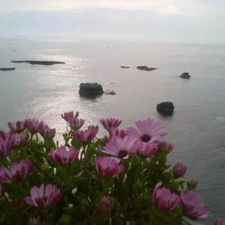 Riccio Di Mare - Large And Bright Flat On The Sea Apartamento *