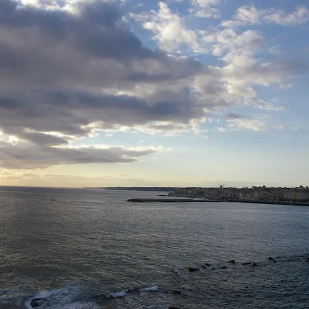 Riccio Di Mare - Large And Bright Flat On The Sea *