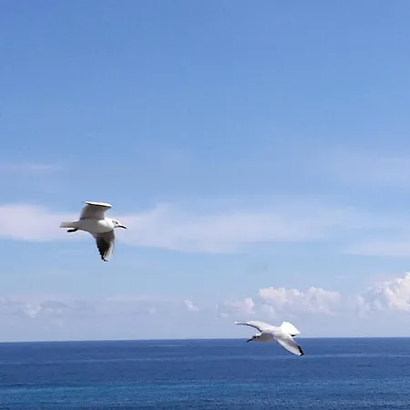 アパート Riccio Di Mare - Large And Bright Flat On The Sea
